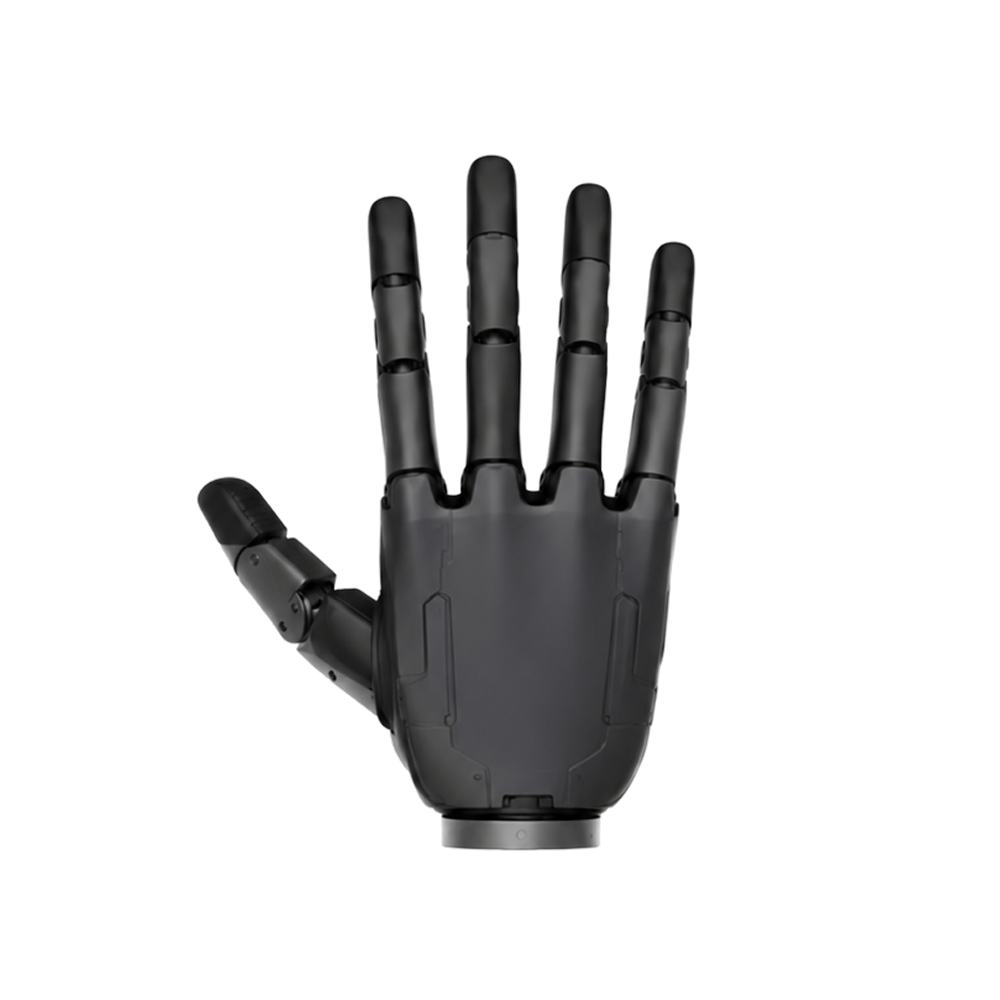 Dummy Hands