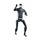 H1
