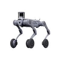 B2-W