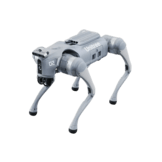 r1