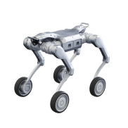 r1