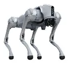 Homedog