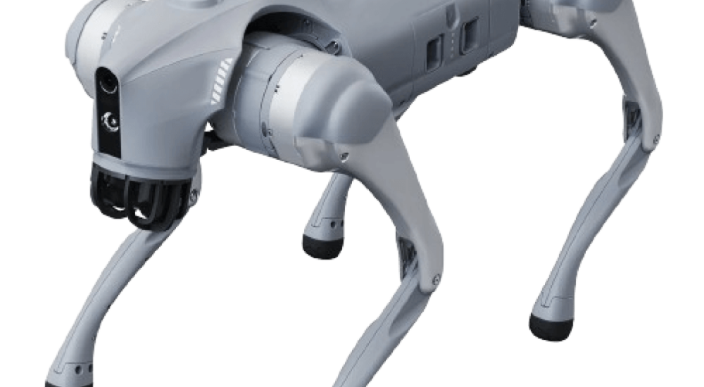 Order Unitree Go2 Pro – A robot dog companion