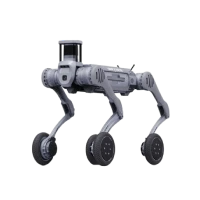 B2-W
