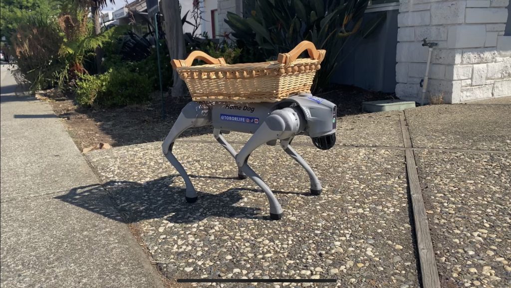 robot dog for home security