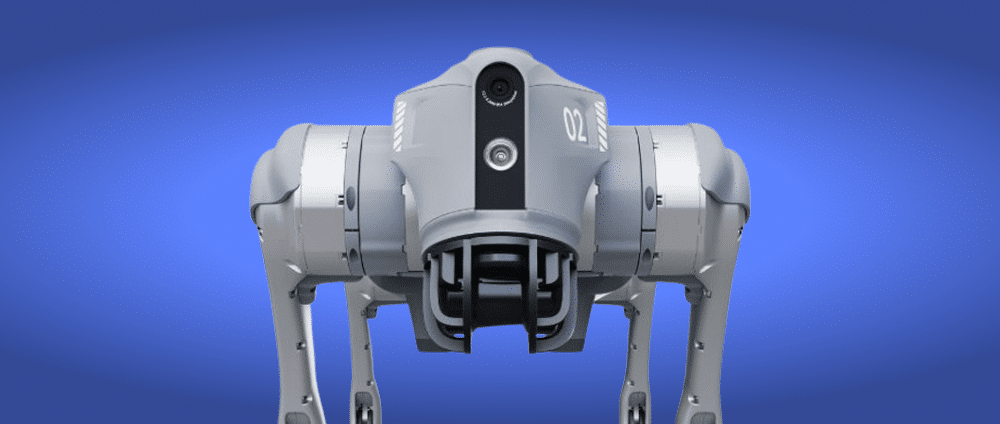 robot dog