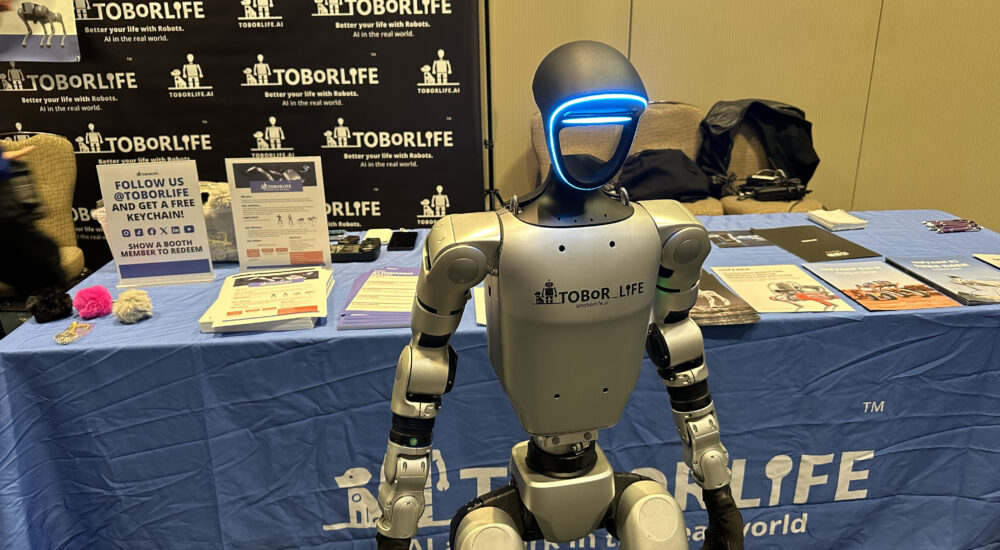 humanoid robot