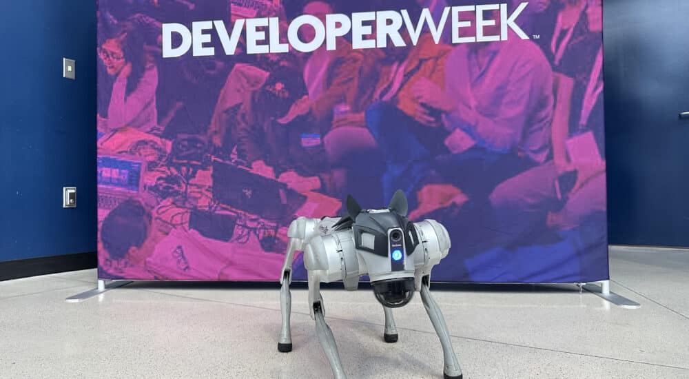 robot dog