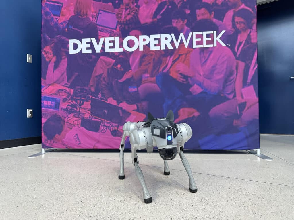 robot dog