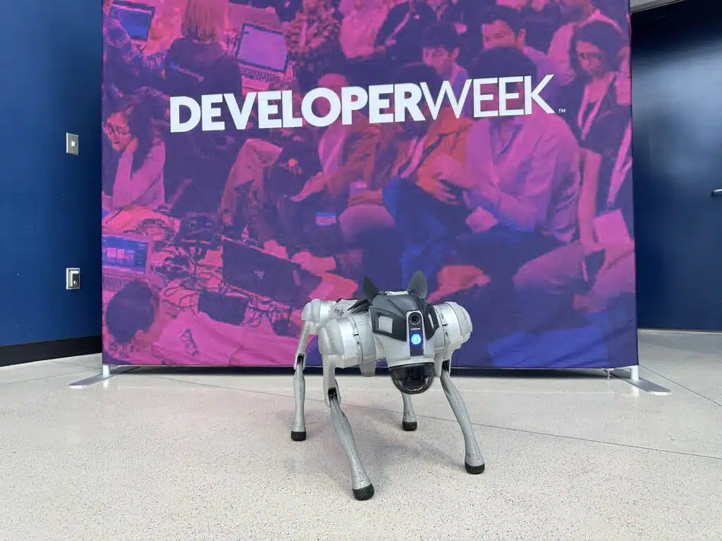 robot dog