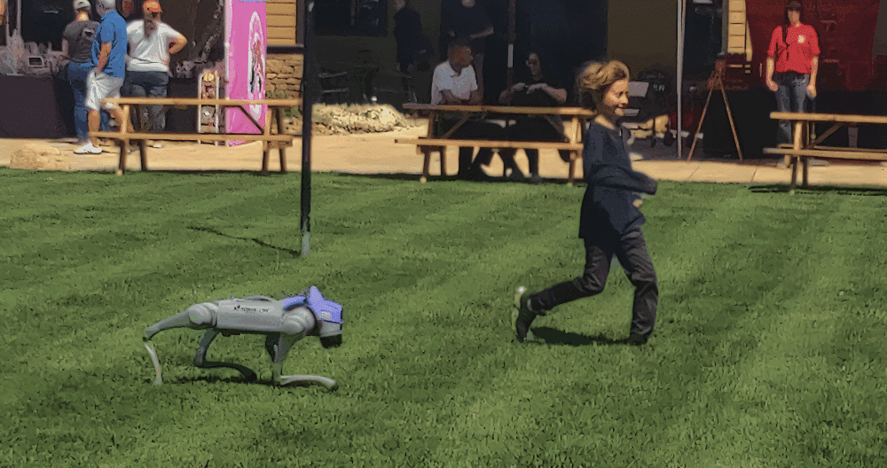 quadruped robot dog