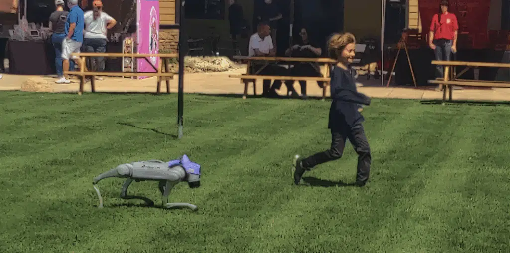 quadruped robot dog