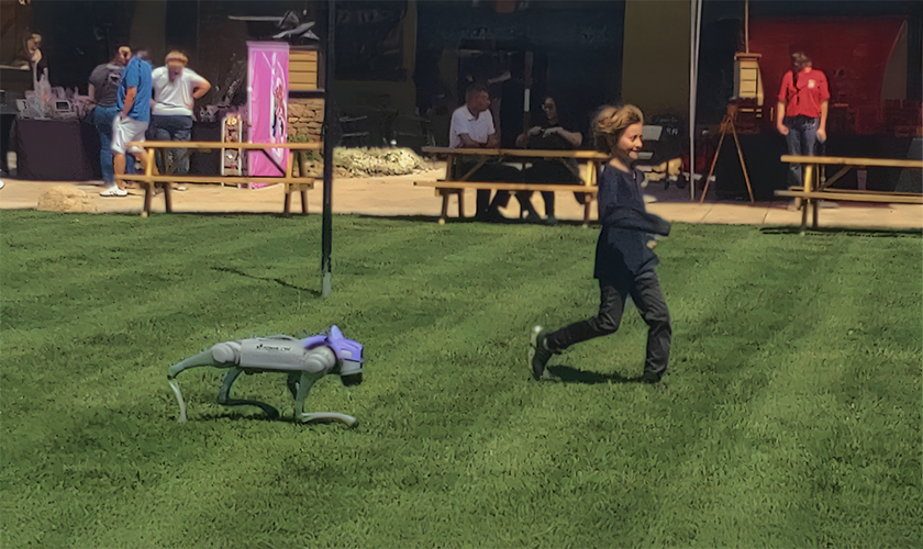 quadruped robot dog