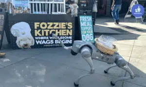 Unitree Go2 robot dog