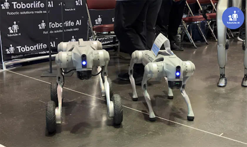 Go2 Robots
