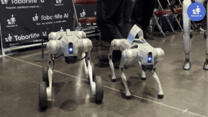 Go2 Robots