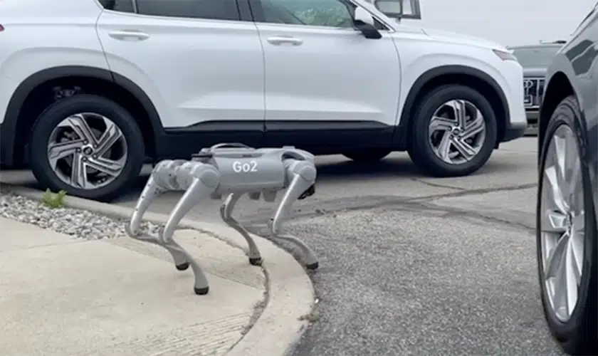 autonomous security robot