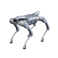 Pre-order A2 Pro