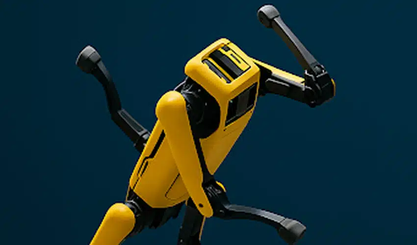 Unitree robot dog