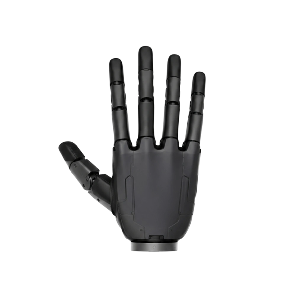 Dummy Hand Pair