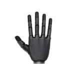 Dummy Hands
