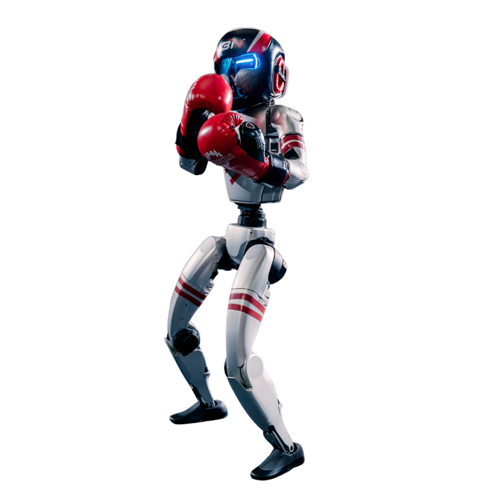 Unitree G1 Edu Boxing