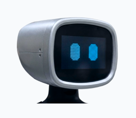IntBot Head Unit