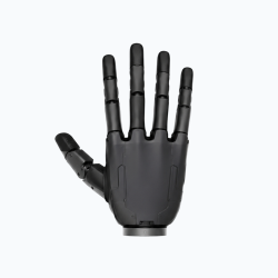 Dummy Hands