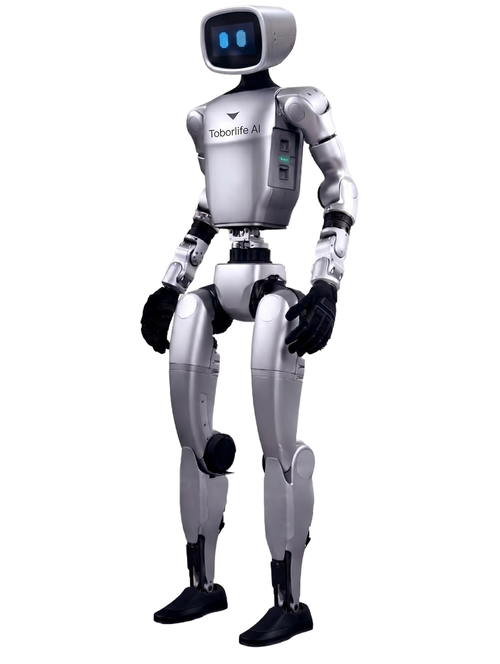 Interactive Package Hardware - Toborlife AI Robots